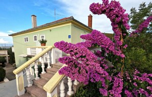 Esterni