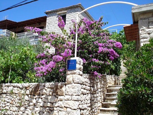 Apartment, Smoking | 1 bedroom - Apartments Milo - 50m From the sea (Milna)