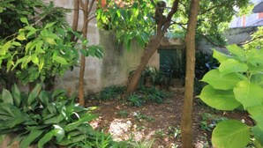 House | 3 bedrooms - Holiday Houses, Villas Korta - 50 m From sea (Konavle)