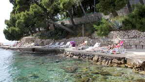 House | 3 bedrooms - Holiday Houses, Villas Korta - 50 m From sea (Konavle)