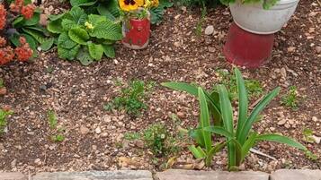 Apartment, Smoking | 1 bedroom