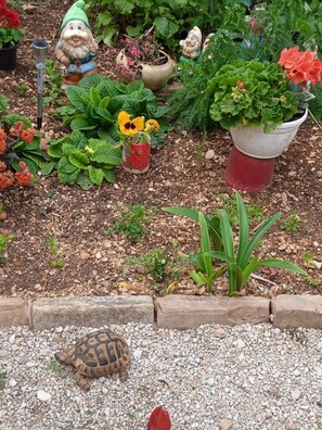 Leilighet, røyk | 1 soverom