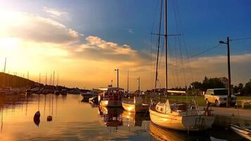 Apartment, Smoking | 1 bedroom