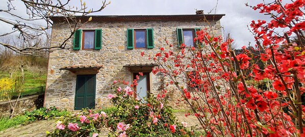 Exterior - Casa Millefiori, Village House near Bagni Di Lucca with Large Garden and Pool. (Fabbriche di Casabasciana)
