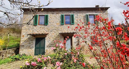 Casa Millefiori, Village House near Bagni Di Lucca with Large Garden and Pool.
