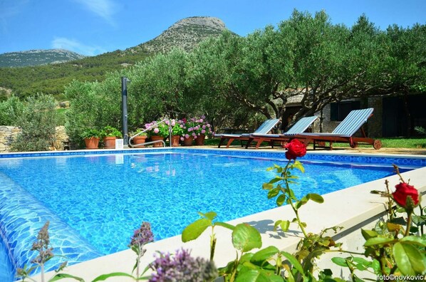 Exterior - Holiday Houses, Villas Vojo - Private Swimming Pool (Bol)