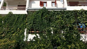 Unclassified image, 5 of 10, button - Apartments Zvone - 50 M From the sea (Dugi Rat)