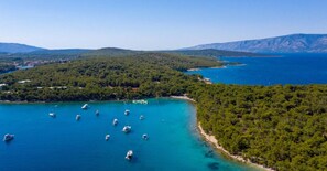 Apartment | 2 bedrooms - Apartments Jasna - 300 m From sea (Jelsa)