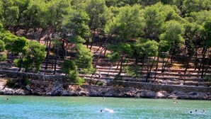 Unclassified image, 2 of 9, button - Apartments Jasna - 300 m From sea (Jelsa)