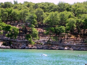 Apartment | Exterior - Apartments Jasna - 300 m From sea (Jelsa)