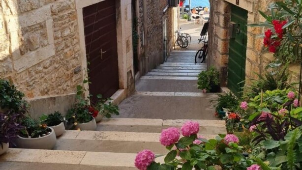 Unclassified image, 1 of 20, button - Holiday Houses, Villas Gari - 5 m From sea (Milna)