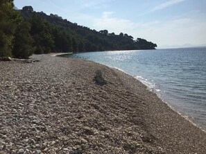 Apartment | 1 bedroom - Apartments Blue - 100 m From Sandy Beach (Podgora)