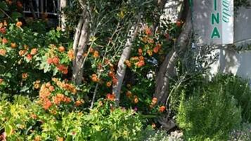 Apartment | Exterior