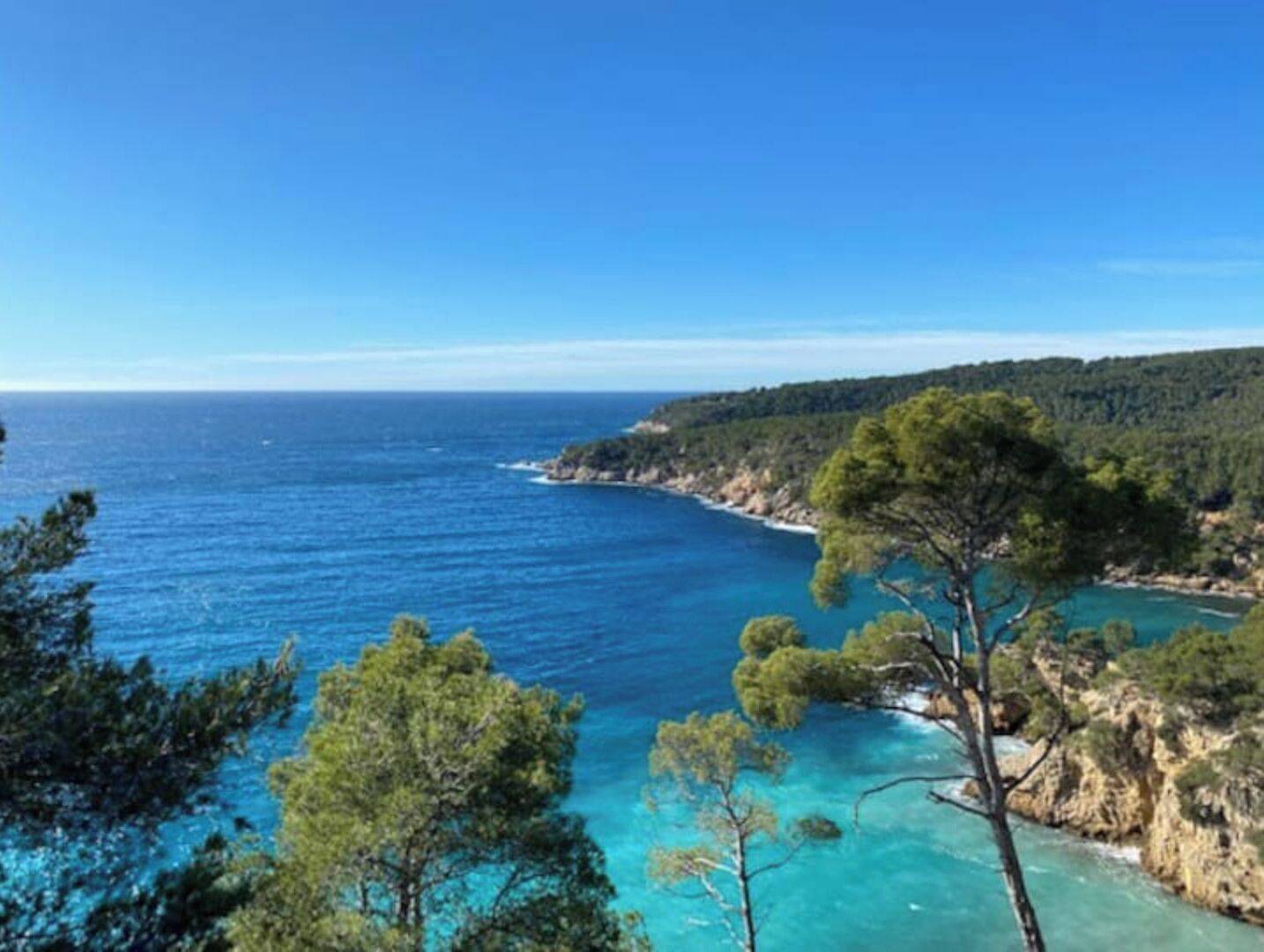 A coastal landscape with clear blue waters, a rocky shoreline, and dense green trees.