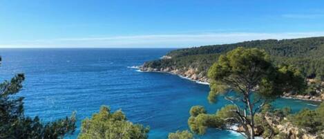 A coastal landscape with clear blue waters, a rocky shoreline, and dense green trees.