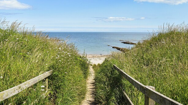 A coastal path leading to a beach with grassy banks and a wooden fence. - 2 bedroom accommodation in Beadnell, near Alnwick (Beadnell, near Alnwick)