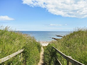 Camino costero que lleva a una playa con laderas cubiertas de hierba y una valla de madera.