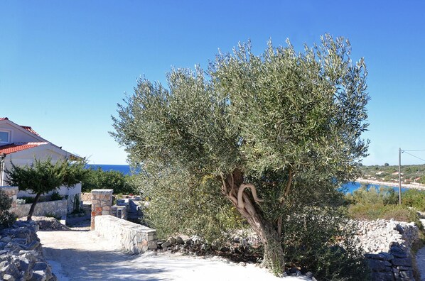 House, Smoking | 2 bedrooms - Holiday Houses, Villas Željko - sea View (Trogir)