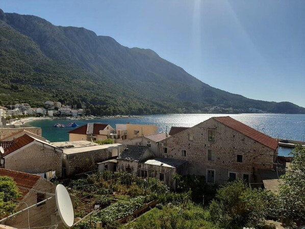 Apartment | 1 bedroom