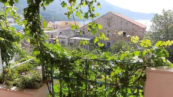 Apartment | 1 bedroom