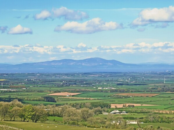A rural landscape with fields, a mountain, and wind turbines.