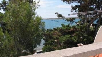 Apartment, Smoking | 1 bedroom