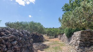 Casa, fumatori
