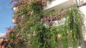 Departamento | 2 habitaciones