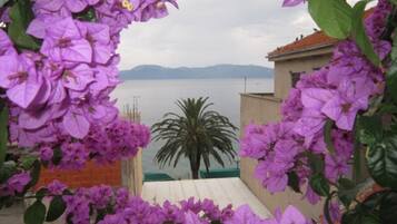 Departamento | Exterior