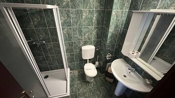 Deluxe Double or Twin Room | Bathroom | Shower, hydromassage showerhead, hair dryer, towels