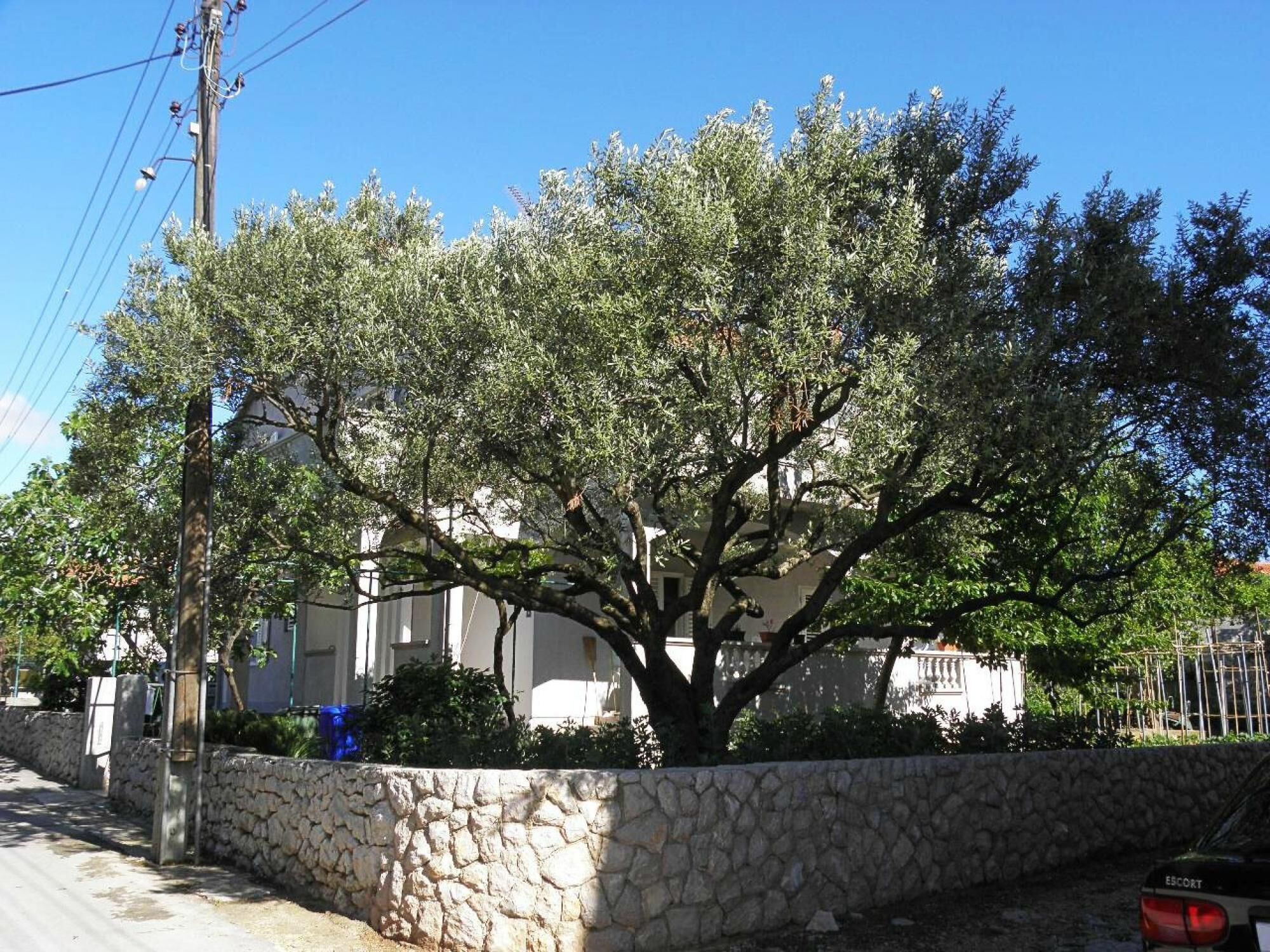 Căn hộ, hút thuốc | Ngoại thất