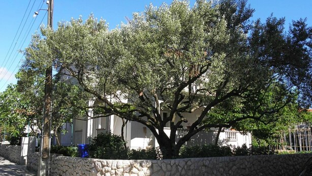 Apartment, Smoking | Exterior - Apartments Ivan - 100 m From Marina (Biograd na Moru)