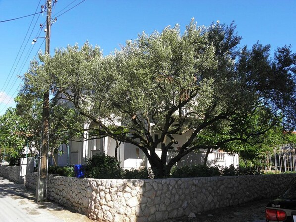 Apartment, Smoking | Exterior - Apartments Ivan - 100 m From Marina (Biograd na Moru)