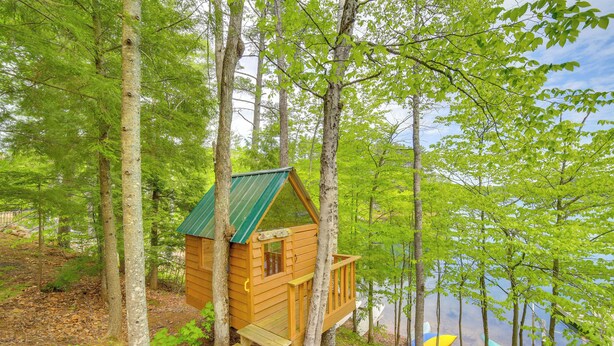 A wooden cabin with a green roof, surrounded by trees, near a body of water.