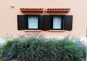 Casa, para fumantes | 4 quartos