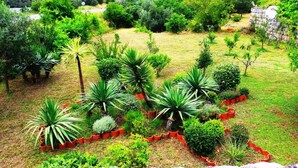 Unclassified image, 5 of 29, button - Holiday Houses, Villas Zdravko - sea View & Peaceful Nature (Dubrovnik)