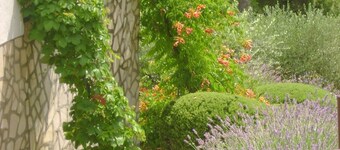 Accommodation in Coves Roko - big Terasse