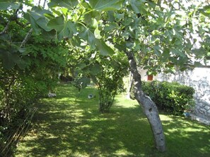 Apartment, Raucher | 4 Schlafzimmer