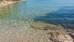 Apartment | 2 bedrooms - Accommodation in Coves Deni - 70m From Beach (Milna)