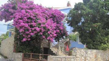 Apartment, Smoking | Exterior