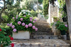 House | 1 bedroom - Holiday Houses, Villas Sunce - Relaxing & Quiet (Solta)