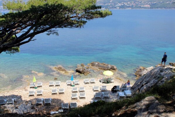 Departamento | 2 habitaciones