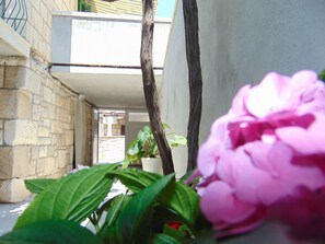 Appartamento, fumatori | 3 camere