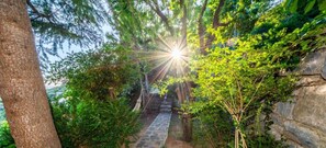 House | Exterior - Holiday Houses, Villas Villa Kristina - Pool With Panoramic View (Split)