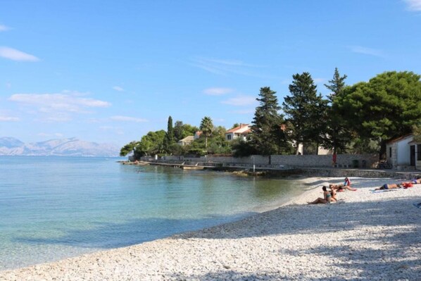 Apartment | 1 bedroom