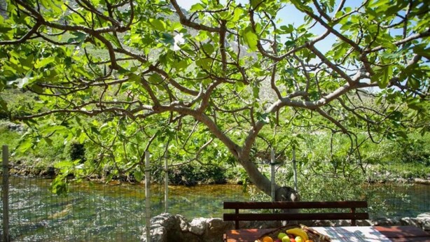 House | 1 bedroom - Holiday Houses, Villas River-directly to the River (Split)