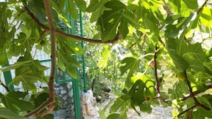 House | Exterior - Holiday Houses, Villas River-directly to the River (Split)