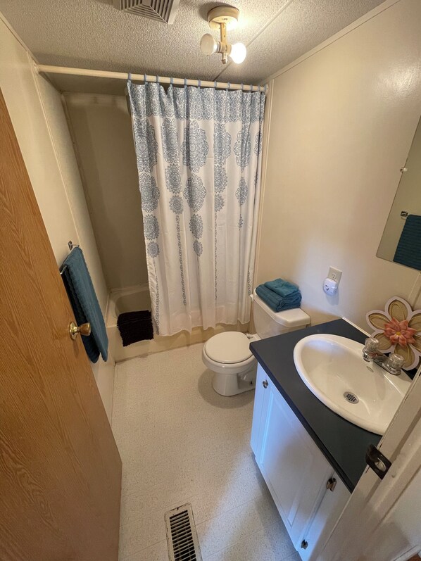 A bathroom with a toilet, sink, shower curtain, and a towel rack. - Remodeled Studio house on a farm (McMinnville)