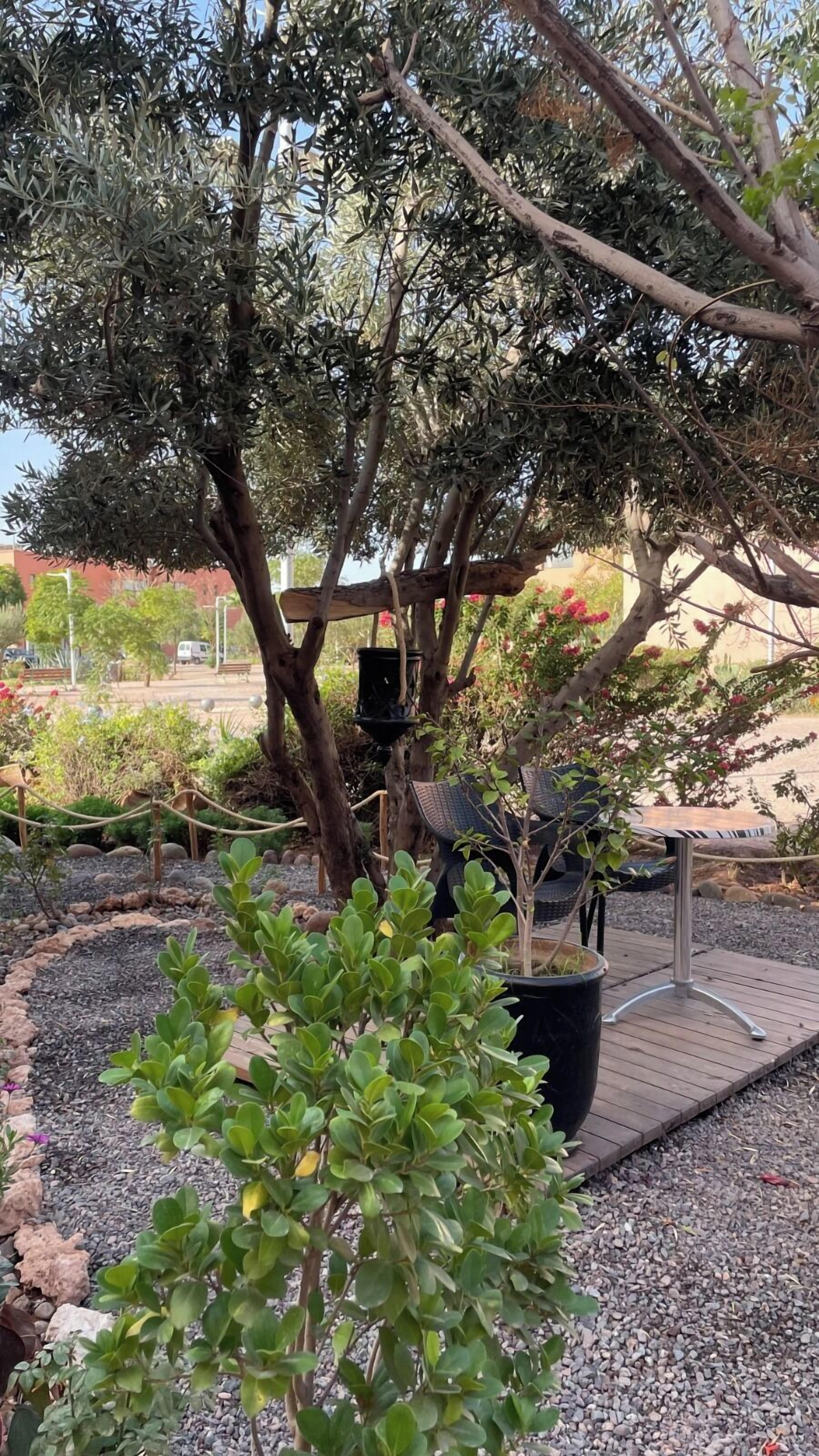 Photo - Riad Soir De Marrakech