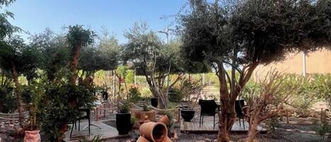 A garden with various plants, a wooden deck, and a rustic outdoor seating area.